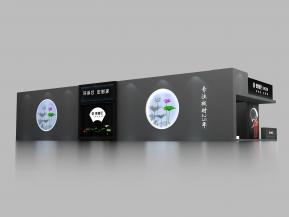 德鲁尼展览模型