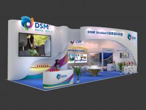 DSM帝斯曼展览模型