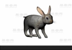 兔子3D模型