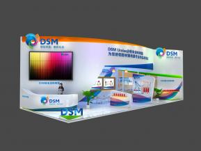 DSM帝斯曼展览模型