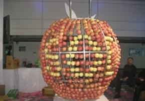 第8届中国国际农产品交易会(一）