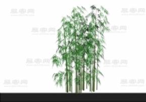 3D竹子模型
