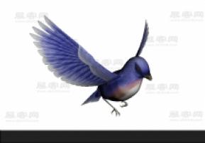 飞鸟3D模型
