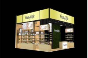 菲茨效展览模型