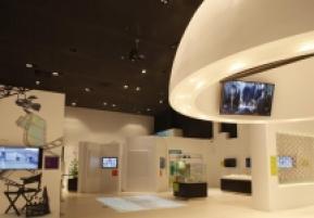 比利时馆-脑细胞