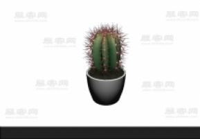 仙人掌 3d模型