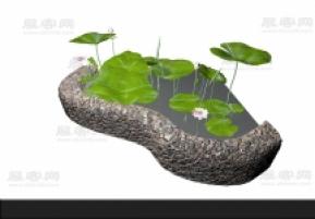 荷花3D模型