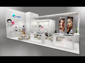 DSM展览模型