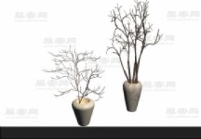 干枝3d模型