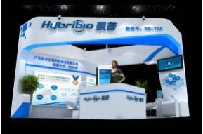 凯普展台模型图片