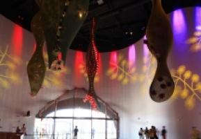 澳大利亚馆-弧形岩石