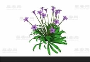 花 3d模型