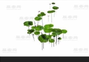 荷叶荷花3D模型