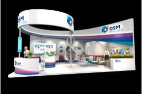 DSM颜料展览展示展台模型