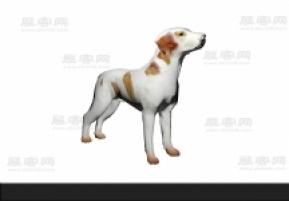 狗3D模型