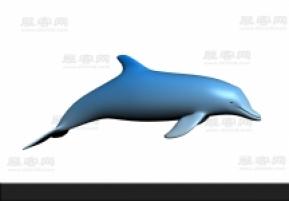 海豚3D模型