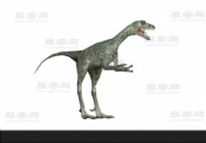 恐龙3D模型