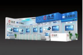 汉王智远展览模型