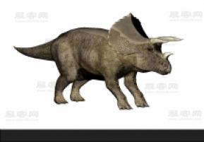 恐龙3D模型