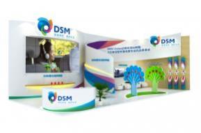 帝斯曼展览模型