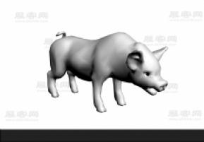 猪3D模型