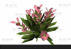 花3D模型