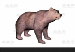 熊3D模型